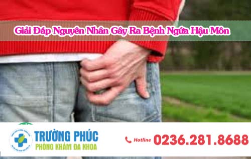 Giải Đáp: Nguyên Nhân Gây Ra Bệnh Ngứa Hậu Môn