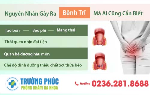 Nguyên nhân gây ra bệnh trĩ ở bạn là gì?