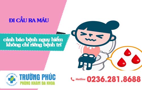 Cảnh báo mắc bệnh nguy hiểm từ hiện tượng đi cầu ra máu