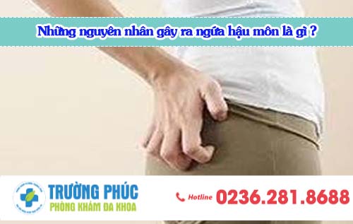Những nguyên nhân gây ra ngứa hậu môn là gì ?