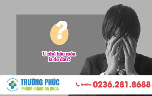 U nhú hậu môn là do đâu?